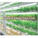 OEM ODM 60W 360W 480W COB LED grow lights home garden 1.2M full spectrum 60w LED grow bar